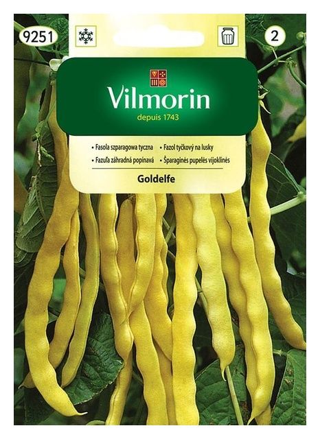Fasola szparagowa Goldelfe 10g Vilmorin