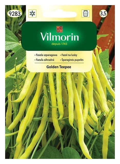 Fasola szparagowa Golden Teepee 30g Vilmorin