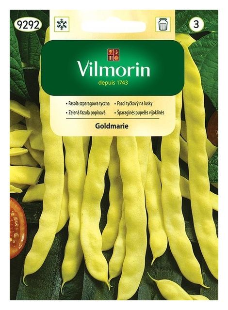 Fasola szparagowa Goldmarie 10g Vilmorin