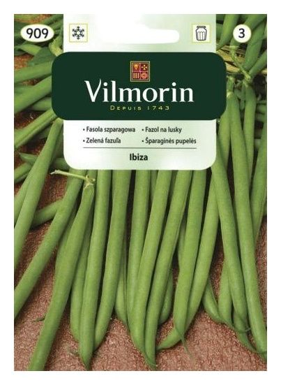 Fasola szparagowa Ibiza 30g Vilmorin