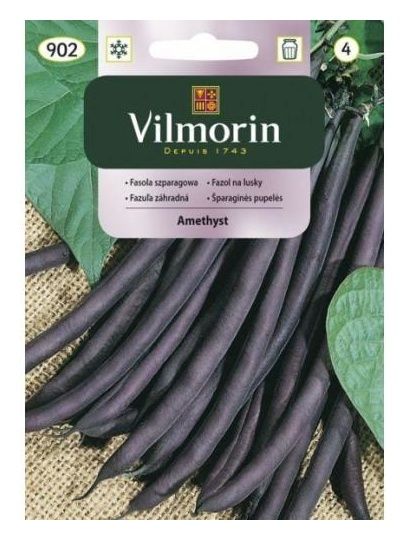 Fasola szparagowa karłowa Amethyst 30g Vilmorin