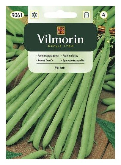 Fasola szparagowa karłowa Ferrari 30g Vilmorin