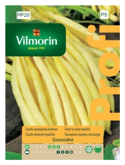 Fasola szparagowa karłowa Goussdor 30g Vilmorin 
