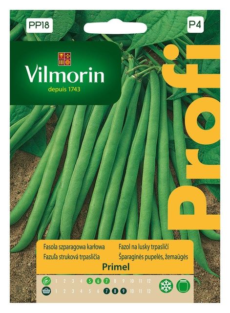 Fasola szparagowa karłowa Primel 30g Vilmorin 
