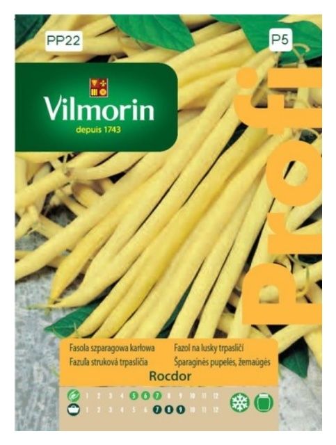 Fasola szparagowa karłowa Rocdor 30g Vilmorin 