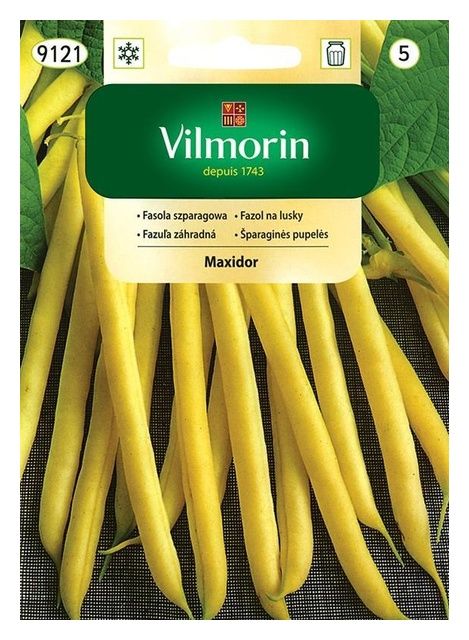 Fasola szparagowa Maxidor 30g Vilmorin