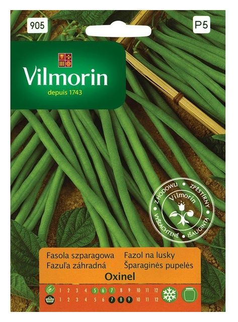 Fasola szparagowa Oxinel 30g Vilmorin