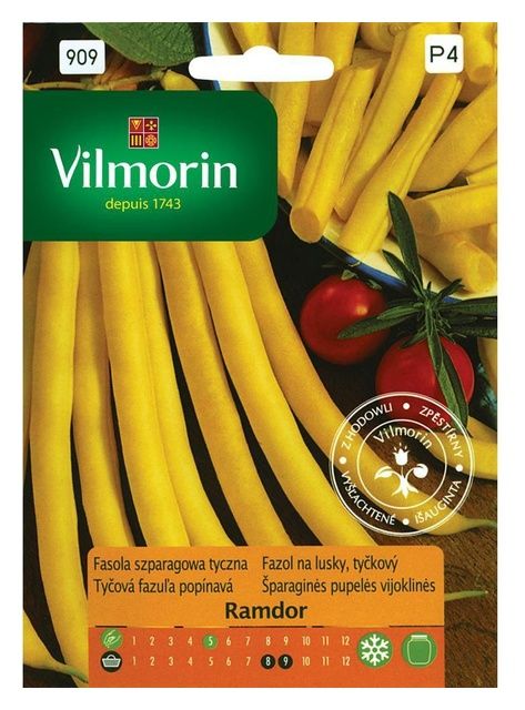 Fasola szparagowa Ramdor 10g Vilmorin
