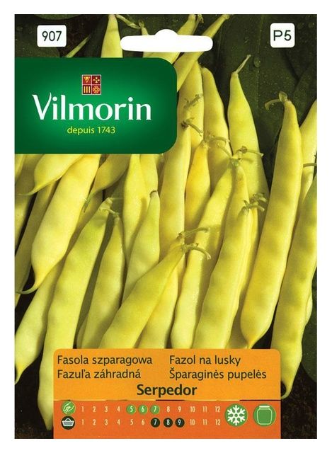 Fasola szparagowa Serpedor 30g Vilmorin