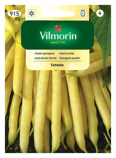 Fasola szparagowa Sonesta 30g Vilmorin