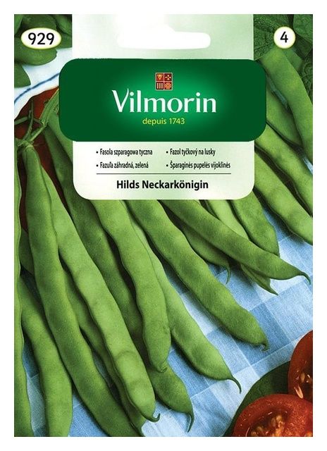 Fasola szparagowa tyczna Hilds Neckarkonigin 10g Vilmorin