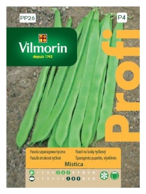 Fasola szparagowa tyczna Mistica 10g Vilmorin 