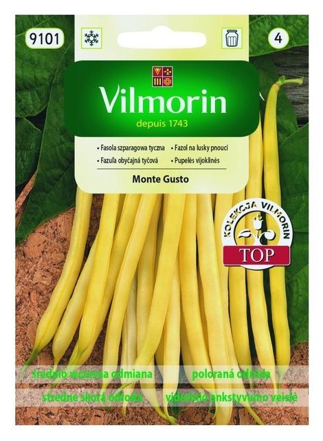 Fasola szparagowa tyczna Monte Gusto 10g Vilmorin