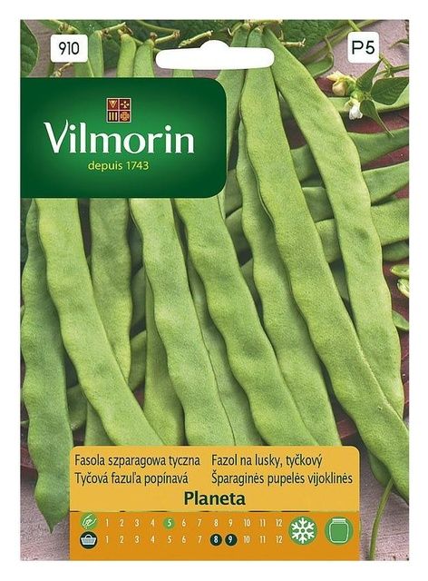Fasola szparagowa tyczna Planeta 10g Vilmorin