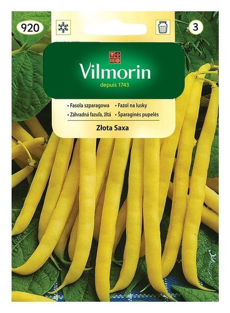Fasola szparagowa Złota Saxa 30g Vilmorin