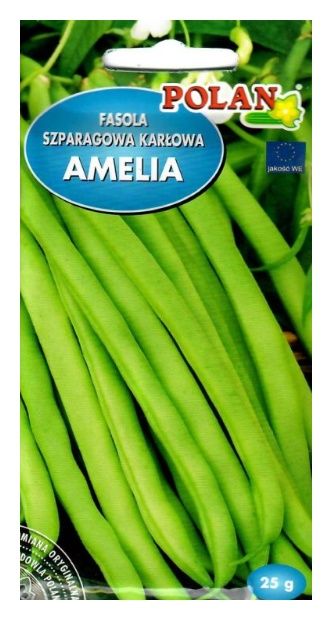 Fasola szparagowa Amelia Polan