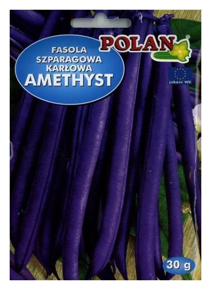 Fasola szparagowa Ametyst 30g Polan
