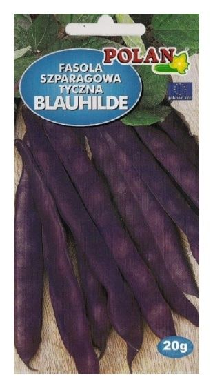 Fasola szparagowa tyczna Blauhilde 20g Polan
