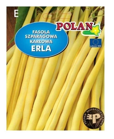 Fasola szparagowa karłowa Erla Polan