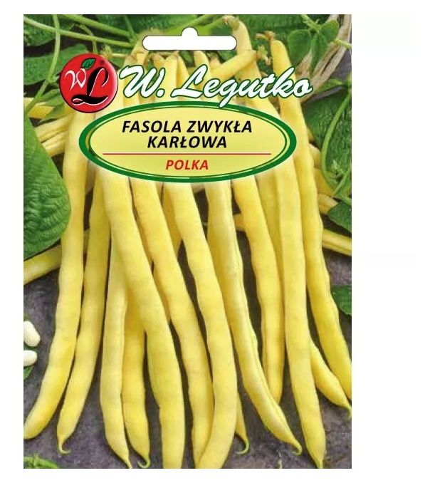 Fasola szparagowa żółtostrąkowa Polka 40g Legutko