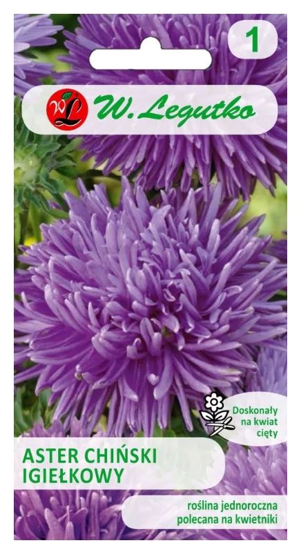Aster chiński igiełkowy fioletowy 1g Legutko