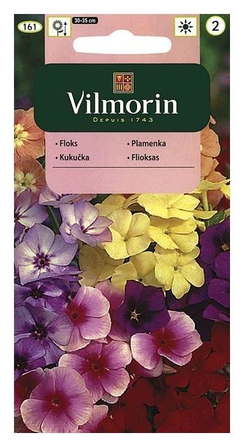 Floks, płomyk letni wielkokwiatowy 1g Vilmorin
