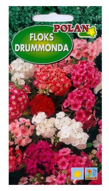 Floks Drummonda 1g Polan
