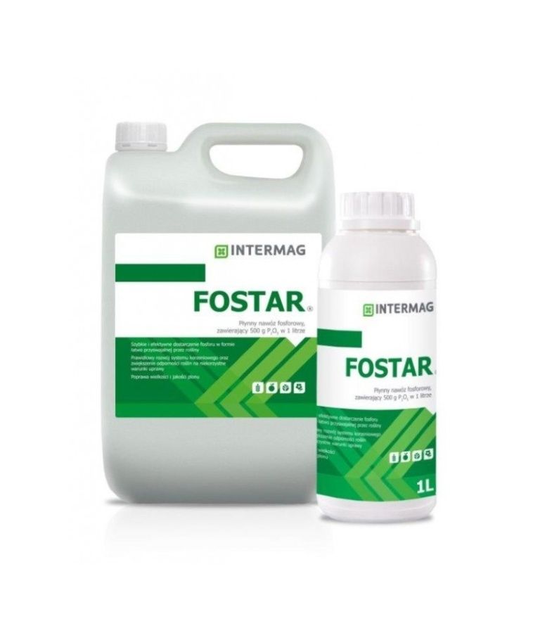 Fostar Intermag
