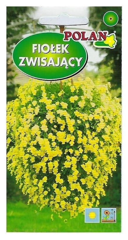 Fiołek zwisający żółty 0,3g Polan