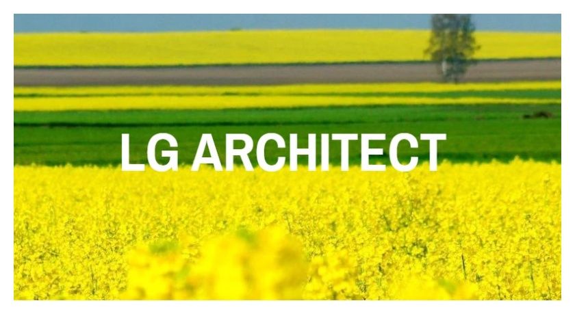 Rzepak ozimy Architect F1 C1 Scenic Gold Limagrain 