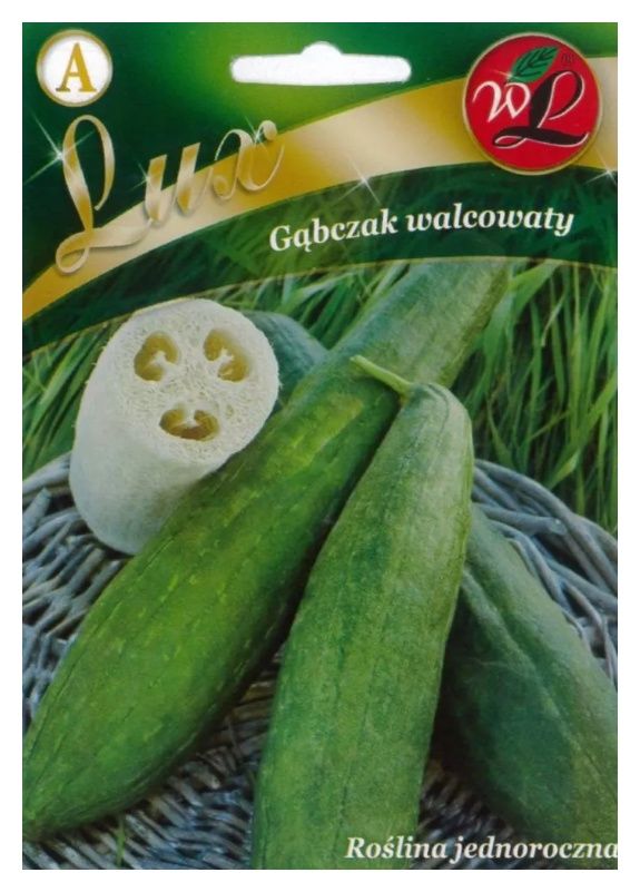 Gąbczak walcowaty 1g Legutko