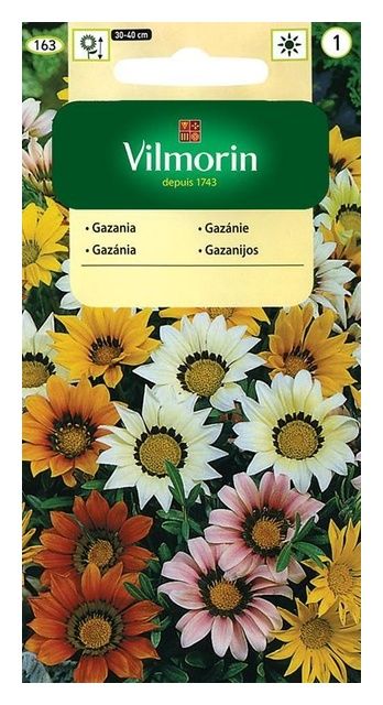 Gazania Ogrodowa 0,2g Vilmorin