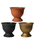 Gazon Irys Szemikowie2