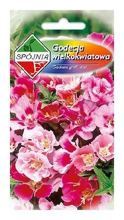 Godecja wielkokwiatowa mix 0,5g Spójnia