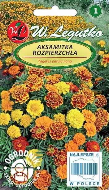 Aksamitka rozpierzchła mix Legutko