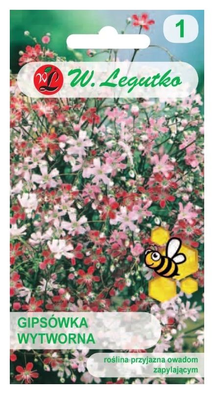 Gipsówka wytworna mix 1g Legutko