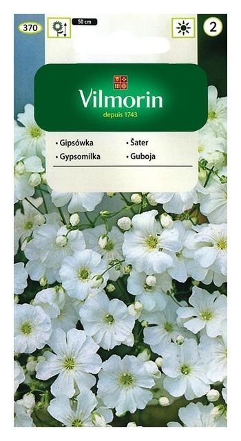 Gipsówka wielkokwiatowa biała 5g Vilmorin