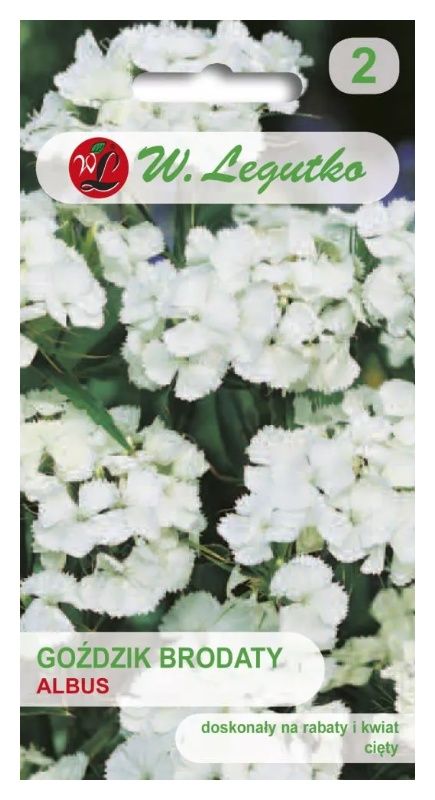 Goździk brodaty Albus 0,5g Legutko