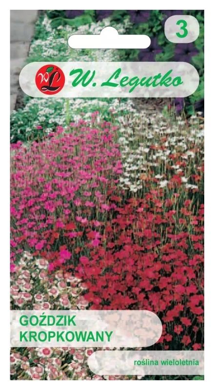 Goździk kropkowany mix 0,5g Legutko