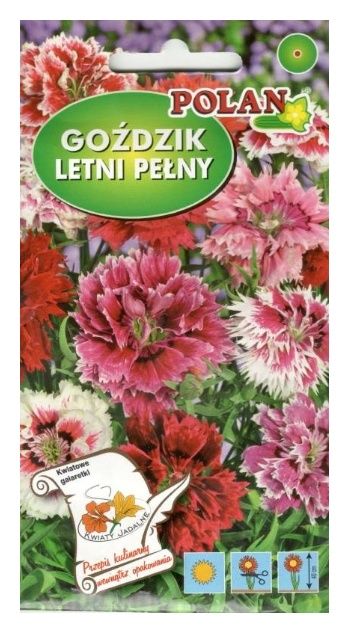 Goździk letni pełny mix 1g Polan