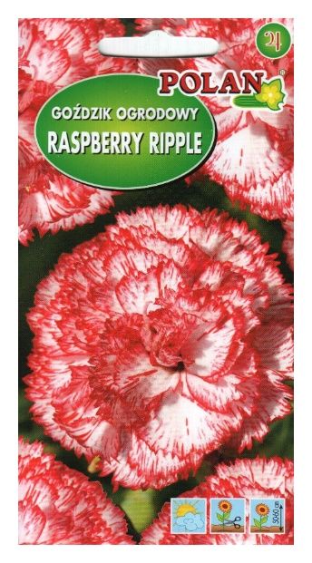 Goździk ogrodowy Raspberry Ripple 0,2g Polan