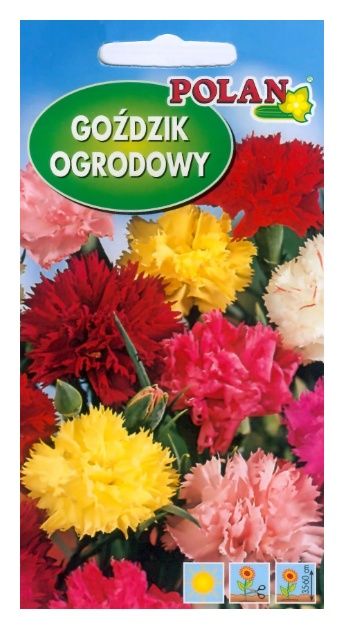 Goździk ogrodowy 1g Polan