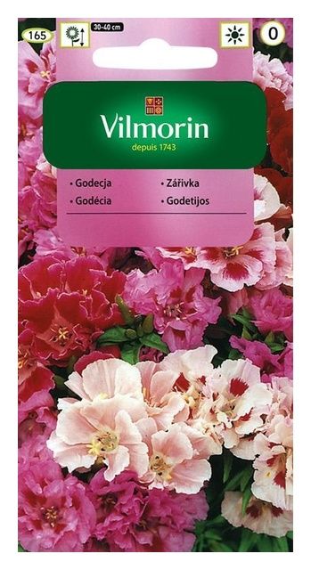 Godecja wielkokwiatowa mix 1g Vilmorin