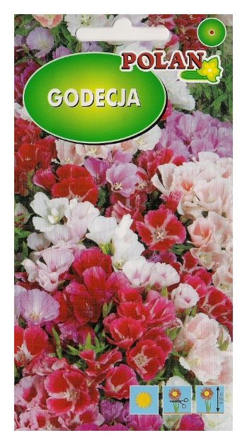 Godecja 2g mix Polan