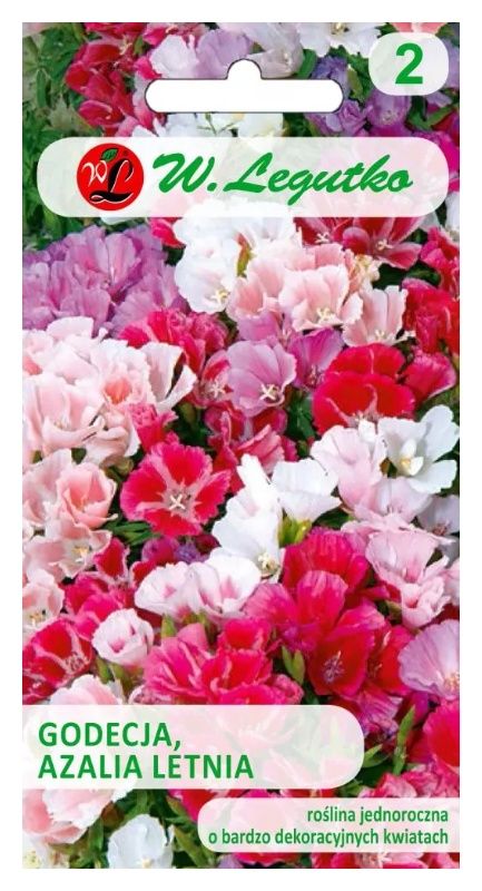Godecja Azalia letnia mix 1g Legutko
