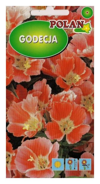 Godecja pomarańczowo czerwona 1g Polan