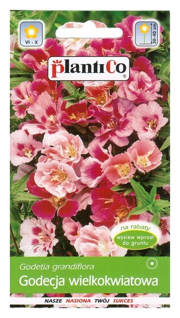 Godecja wielkokwiatowa 1g PlantiCo