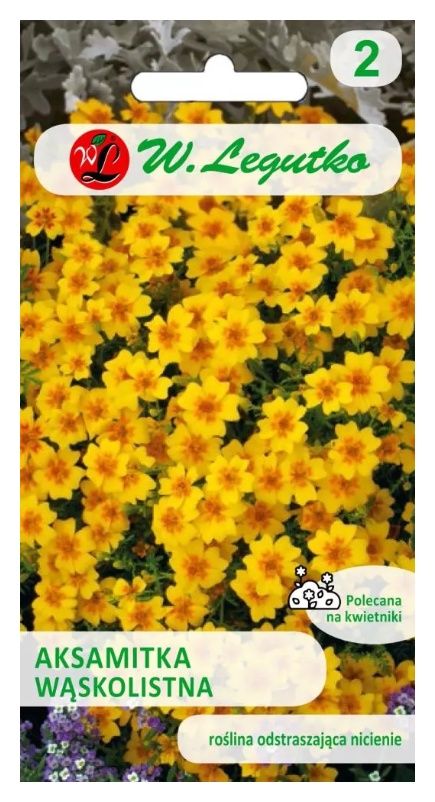 Aksamitka wąskolistna Golde Gem 0,3g Legutko