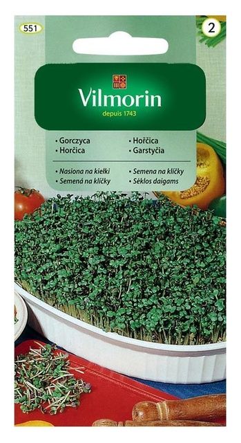 Gorczyca nasiona na kiełki 20g Vilmorin