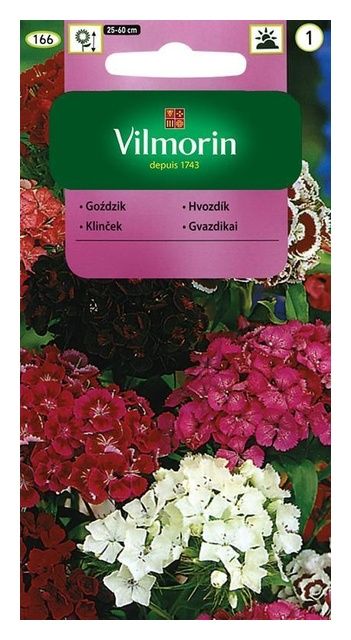 Goździk Brodaty 1g Vilmorin